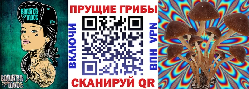 Галлюциногенные грибы прущие грибы  Краснослободск 