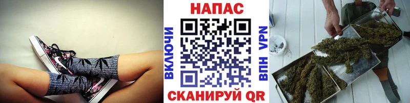Шишки марихуана марихуана  Краснослободск 